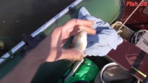 Ловля плотвы в сентябре на поплавок.
