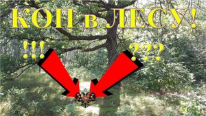 Коп в лесу на месте старинного хутора с новой катушкой для Тёрки 705