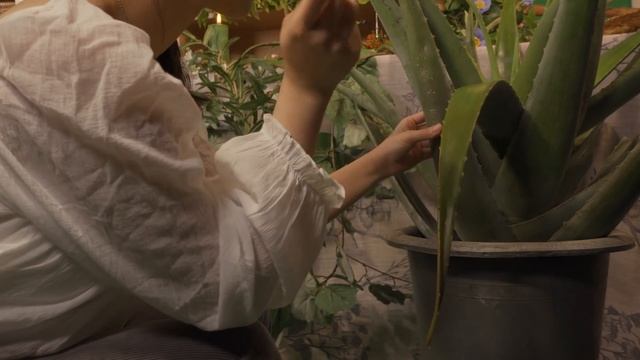 ASMR 10년간 숲을 나간 적 없는 피부치유사 롤플레이 [SKIN CARE ROLEPLAY ASMR] смотреть онлайн