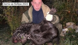 Охота на бобра 2022