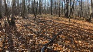 Коп Тёрка 705 по высоким сигналам)))