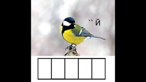 Видеоурок. Мосты Санкт-Петербурга.