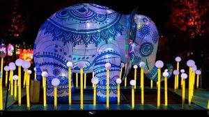 Зоопарк в Рождественские дни. Христианский слайд для детей.  Made by Vera Birak.