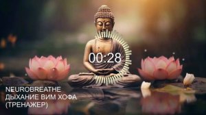 Вим Хоф. 5 циклов. Задержка 1 минута 45 сек. Онлайн-тренажер с музыкой и релаксацией