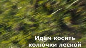 Показываем  аккумуляторный и бензиновый триммеры в работе
