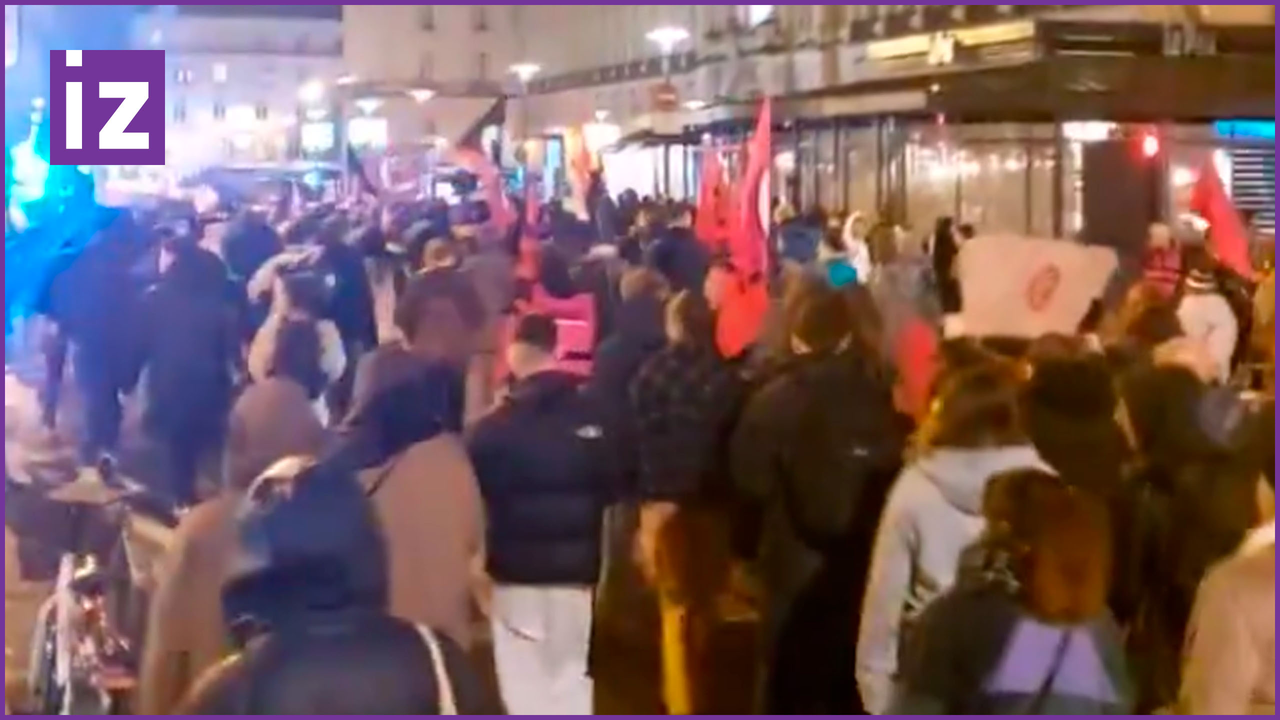 Сотни людей вышли на манифестацию против нового закона об ужесточении миграции во Франции / Известия