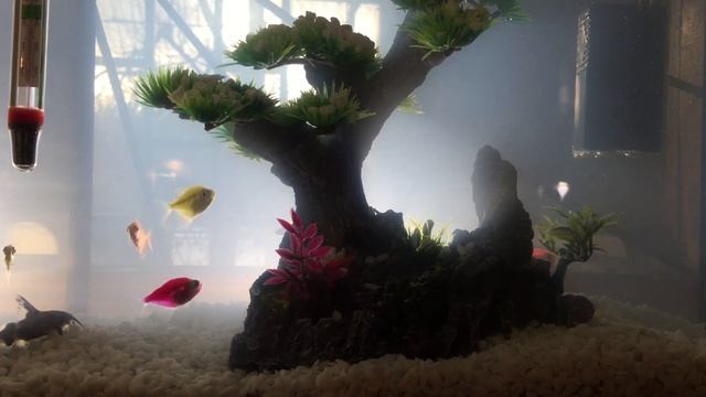 11 освещение сзади лампой Люмакс лед смотреть онлайн