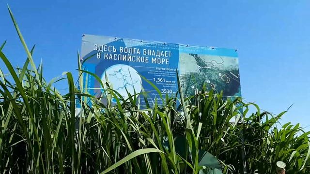 Здесь Волга впадает в Каспийское море смотреть онлайн