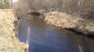 Спиннинг. Ультралайт. Ельцы на вертушки ч.1