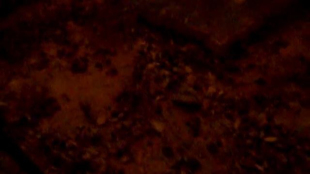 Самый лучший гвоздодер смотреть онлайн