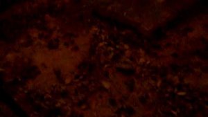 Самый лучший гвоздодер