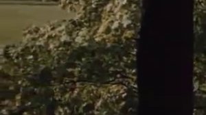 Н В Гоголь  Биография 1 урок