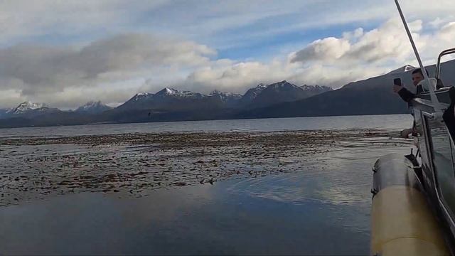 Аргентина - Авторский тур с ЖИВИ КРАСИВО Travel смотреть онлайн