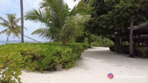 Reethi Faru Resort. Рити Фару. Самый зеленый отель на Мальдивах! Сентябрь лучший месяц для Мальдив