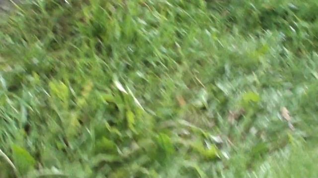 НЛО в Нижнем Новгороде 2012 часть 3 смотреть онлайн