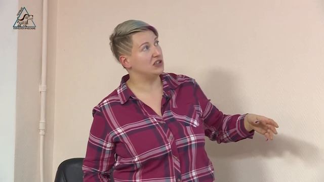 Семинар по агрессии с Юлией Исламовой. День1-Часть 2 смотреть онлайн