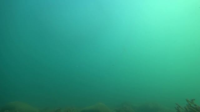 Отдых в Бетте. Море, пляж, жильё, цены. Самый честный обзор. (Папа Может)