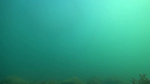 Отдых в Бетте. Море, пляж, жильё, цены. Самый честный обзор. (Папа Может)