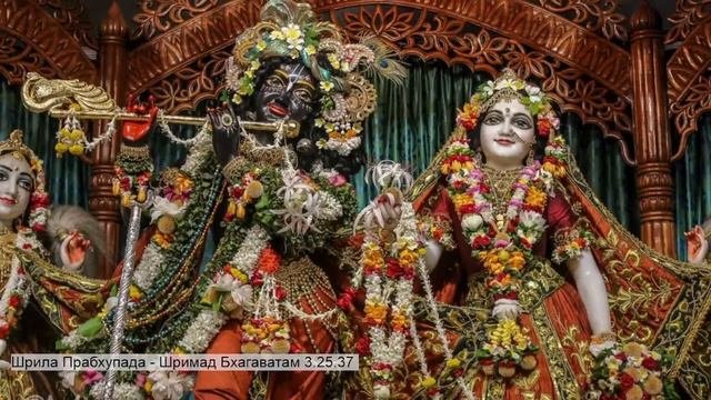 Шрила Прабхупада - Шримад Бхагаватам 3.25.37