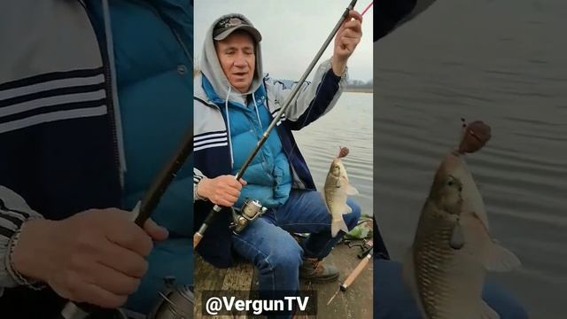 Первый карась сезона 2023 #рыбалка #fishing #verguntv #рыбалка_в_каменском #весенний_клев