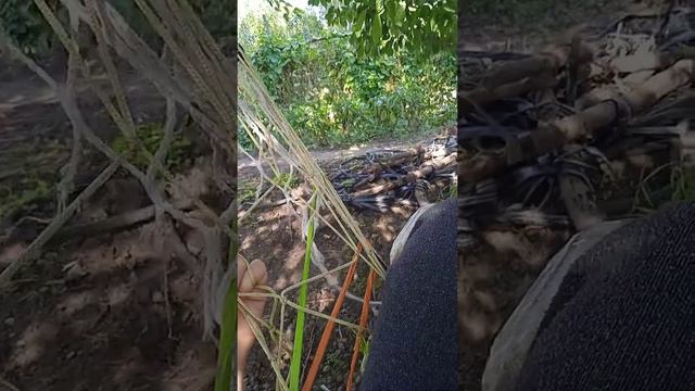 Ядерный психопат в обычной семье.