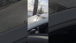 Pride st12 от apollo Pride diamond 10