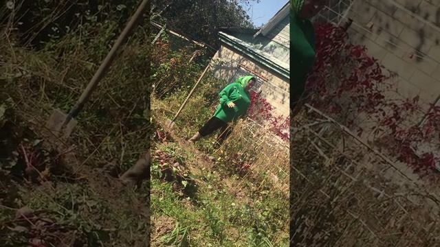 патина пастернак смотреть онлайн