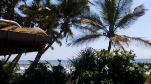Шри Ланка.RoY Villa .часть 1Sri Lanka.РОЙ ВИЛА