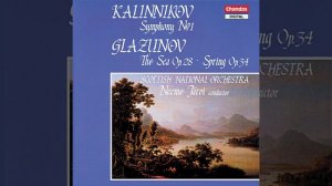 Symphony No. 1 in G Minor: IV. Finale. Allegro moderato