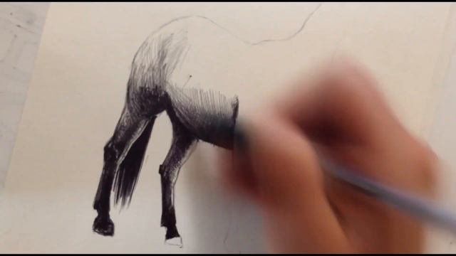 Рисунок лошади смотреть онлайн