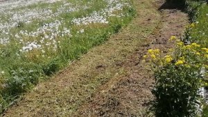 мульчирование