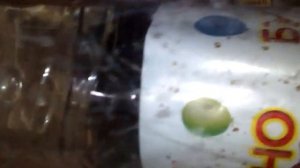 как обогреть маленьких цыплят без электричества.