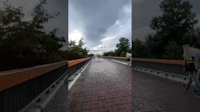 Прогулка на электроколяске Willchair Pro