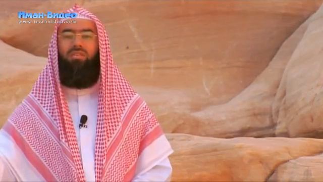 Истории о пророках: Салих (عليه السلام) смотреть онлайн