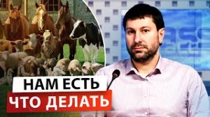 Импортозамещение в России | Развитие сельского хозяйства в условиях санкций.