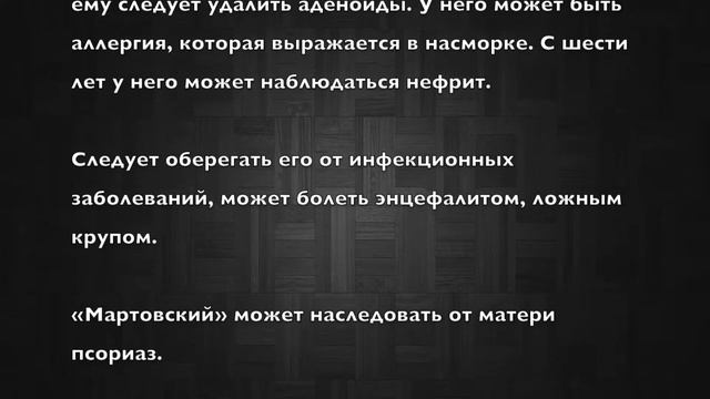 Леонид. Имя и здоровье ребенка. Имена для мальчиков