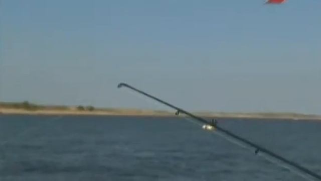Волжская рыбалка