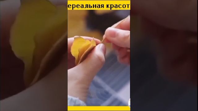 Вот такие поделки сделать из листьев можно ??