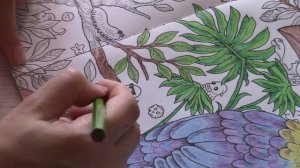 Раскраска антистресс Аниморфозы/Экстремальные раскраски/Раскрашиваем вместе