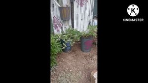 Садовый декор в стиле Прованс. Уголок садовника.