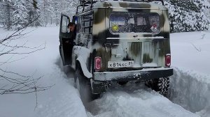 Выгуляли бобика