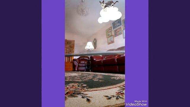 . Супер супер WoW разминка супер разминка смотреть онлайн