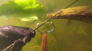 Подводная охота и трудовой поиск на малой реке