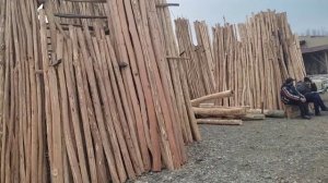 Каттакургон тахта бозори