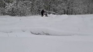 Стелс Витязь "Три дня скитаний или 200км ЗМУ"