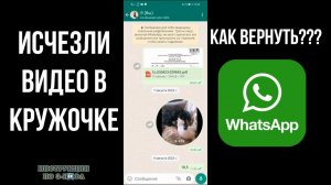 Видео в кружочке в Ватсапе не работает, как сделать кружочки в Ватсап и отправить видео сообщение