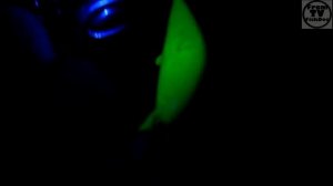 Влияние ультрафиолетового света на рыболовные приманки такие как воблер