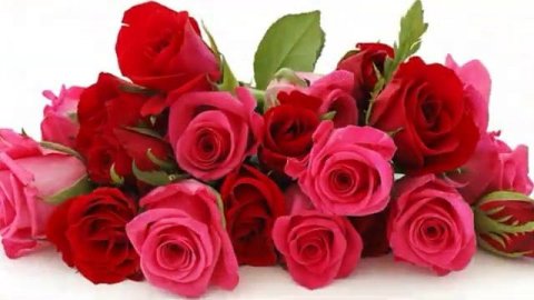 С_ДНЕМ_РОЖДЕНИЯ_МУЗЫКАЛЬНАЯ_ОТКРЫТКА_ПОЗДРАВЛЕНИЕ(1).mp4