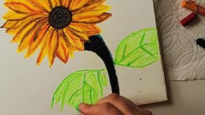 Beautiful sunflower 🌻 with oil pastels||Picture Arts||