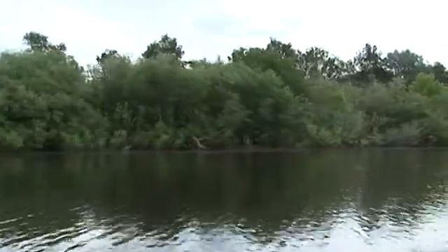 Несколько трагических случаев на воде произошло с начала лета смотреть онлайн